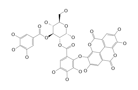 ISO-OENOTHEIN_C