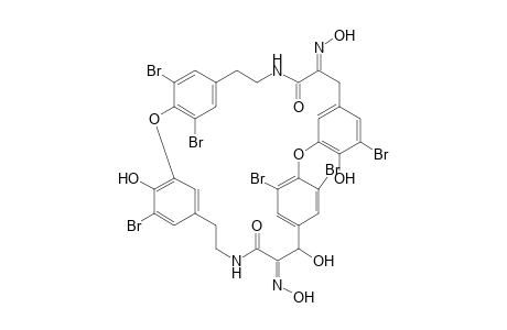 Bastadin 24