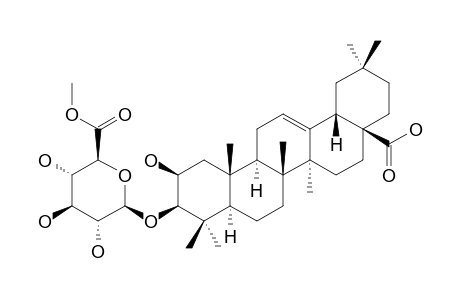 CARYOCAROSIDE_IV-6;3-O-BETA-D-METHYL-GLUCOPYRANOSIDURONATE-2-BETA-HYDROXYOLEANOLIC_ACID