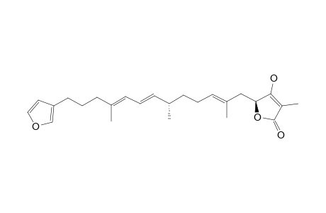 EPI-SARCOTIN-A