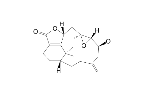 CESPIHYPOTIN_U