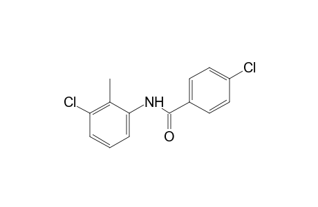 3',4-dichloro-o-benzotoluidide