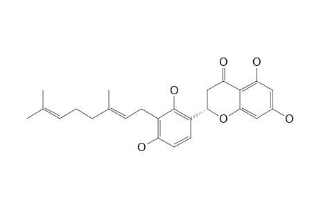 Sanggenol A