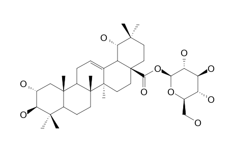 ARJUNETIN