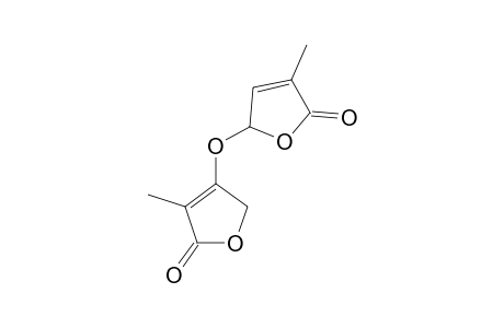 3-METHYL-5-(4-METHYL-5-OXO-2,5-DIHYDROFURAN-3-YLOXY)-FURAN-2(5H)-ONE