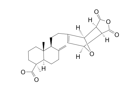 (1-R,2-S,6-R,7-R)-8-[18-CARBOXY-13,14,15,16-TETRANORLABD-8-(17)-EN-12-YL]-4,10-DIOXATRICYCLO-[5.2.1.0-(2.6)]-DEC-8-ENE-3,5-DIONE