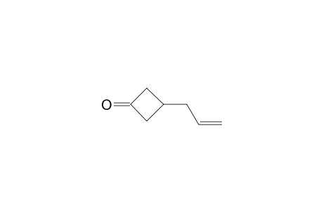 3-ALLYL-CYCLOBUTANONE