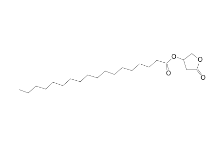 Stearylcarnitine oxylactone