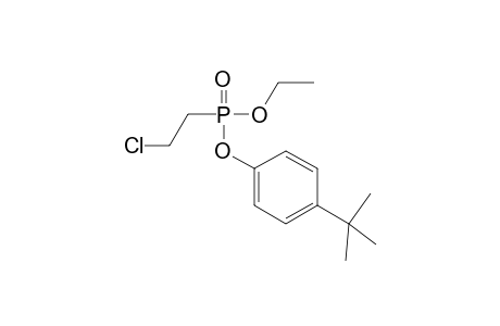 P-(2-Chloroethyl)-O-[4"-(t-butyl)phenyl]-O-ethylphosphonate