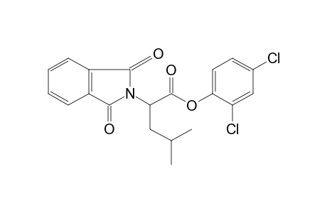 D,L-1,3-dioxo-a-isobutyl-2-isoindolineacetic acid,2,4-dichlorophenyl ester