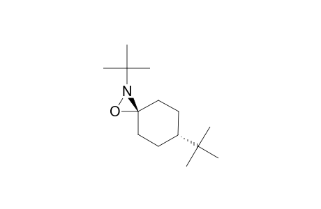 (CIS)-2,6-DITERT.-BUTYL-1-OXA-2-AZASPIRO-[2.5]-OCTANE