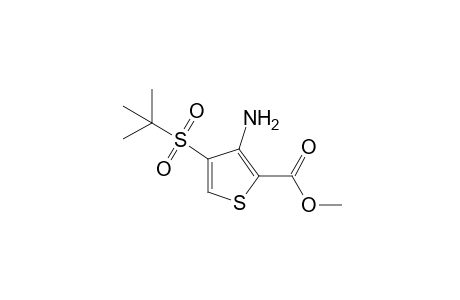 3-amino-4-(tert-butylsulfonyl)-2-thiophenecarboxylic acid, methyl ester