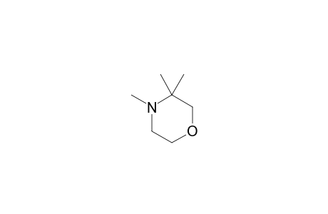 3,3,4-Trimethyl-morpholine