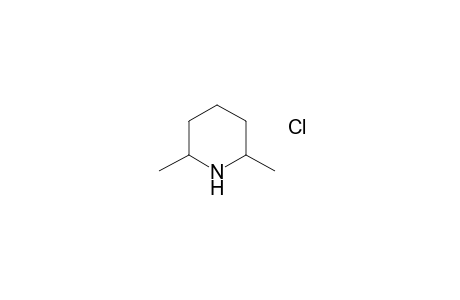 2,6-Dimethylpiperidine hydrochloride