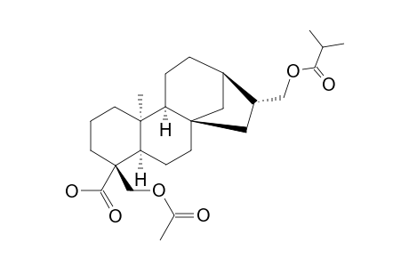 ENT-18-ACETOXY-17-ISOBUTYRYLOXY-16-BETA-H-KAURAN-19-OIC_ACID