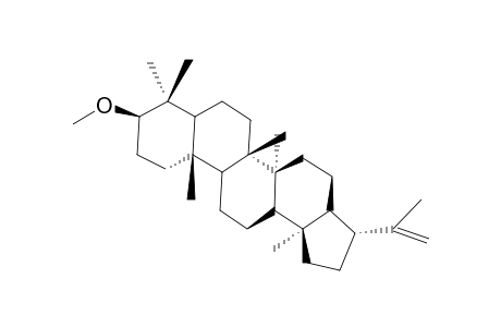 3-BETA-METHOXY-HOP-22(29)-ENE