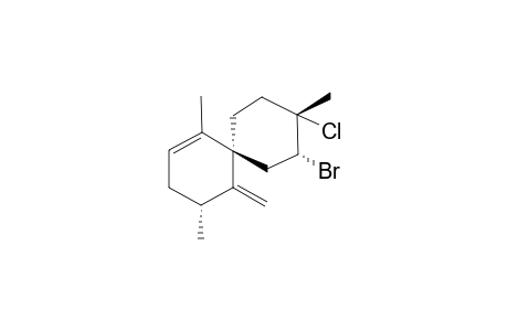 LAUROKAMIN-A