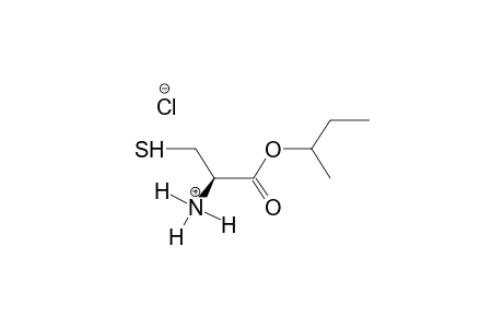 SEC-BUTYL L-CYSTEINATE, HYDROCHLORIDE