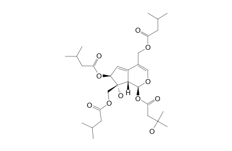 SORBIFOLIVALTRATE_C;1-(3-HYDROXYVALERYL)-7,10,11-TRI-ISO-VALERYLVALTRATE-HYDRINE