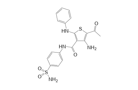 4-amino-5-acetyl-N-[4-(aminosulfonyl)phenyl]-2-(phenylamino)thiophene-3-carboxamide