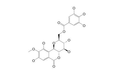 11-O-GALLOYLBERGENIN