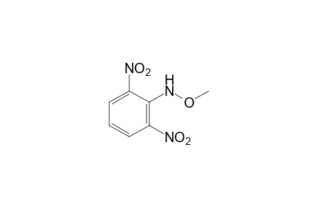 N-(2,6-dinitrophenyl)-o-methylhydroxylamine