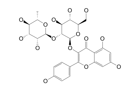 KAEMPFEROL-3-NEOHESPERIDOSIDE