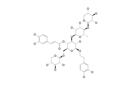 TRICHOSANTHOSIDE_B;3,4-DIHYDROXY-BETA-PHENYLETHOXY-O-[BETA-D-XYLOPYRANOSYL-(1->4)-ALPHA-L-RHAMNOPYRANOSYL-(1->3)]-[BETA-D-XYLOPYRANOSYL-(1->6)]-4-O