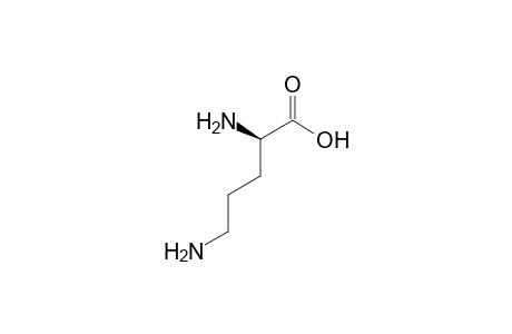 D-Ornithine