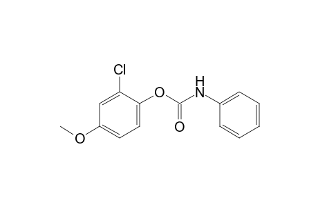 2-chloro-4-methoxyphenol, carbanilate