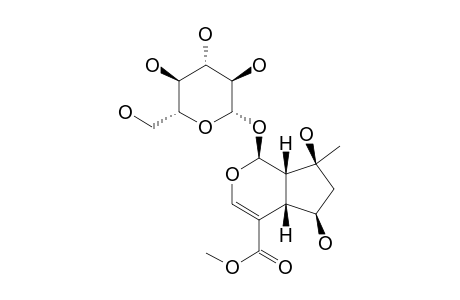 #6;SHANSHISIDE-METHYLESTER;5,7-DIHYDROXY-7-METHYL-1-(3,4,5-TRIHYDROXY-6-HYDROXYMETHYL)-TETRAHYDRO-2H-PYRAN-2-YL-OXY)-1,4A,5,6,7,7A-HEXAHYDROCYCLOPENTA-[C]-PYRA