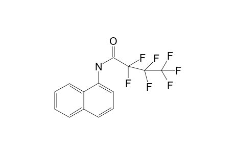 MN-18-M/artifact HFB          @