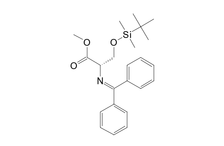 METHYL-O-(TERT.-BUTYLDIMETHYLSILYL)-N-(DIPHENYLMETHYLENE)-L-SERINATE