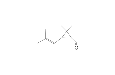 TRANS-CHRYSANTHEMAL