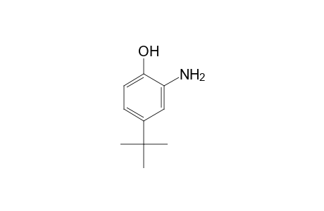 2-Amino-4-tert-butylphenol