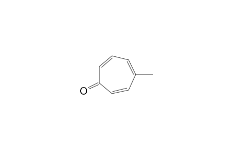 4-METHYLTROPONE;4-METHYL-CYCLOHEPTA-2,4,6-TRIENONE