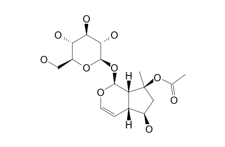 AJUGOSIDE;LEONURIDE