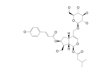 7-O-PARA-COUMAROYL-PATRINOSIDE