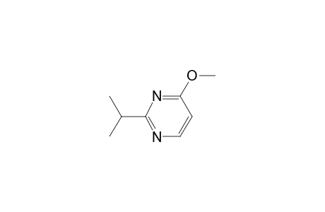 2-isopropyl-4-methoxy-pyrimidine