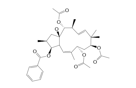 5,11-JATROPHADIENE-3-BENZOYLOXY-7,9,14-TRIACETYLOXY-15-OL