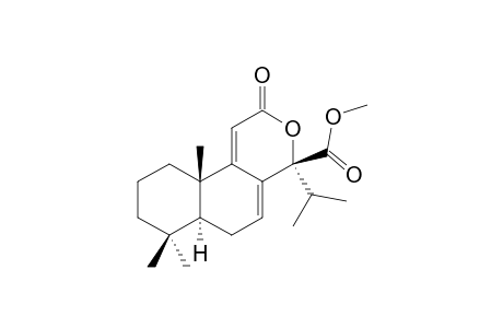 METHYL-12-OXO-13-OXATOTARA-7,9(11)-DIENE-14-BETA-CARBOXYLATE