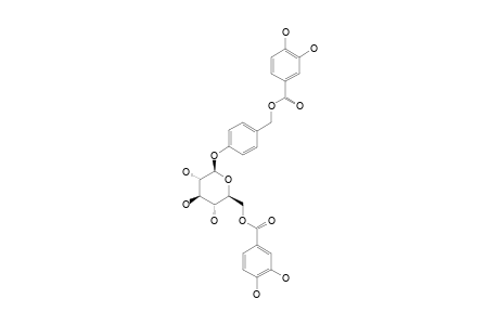 AMBUROSIDE-E;4-O-BETA-D-(6''-O-PROTOCATECHUOYL-GLUCOPYRANOSYL)-BENZYL-PROTOCATECHUATE