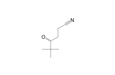 5,5-DIMETHYL-4-OXOHEXANENITRILE