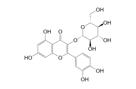 Isoquercitrin