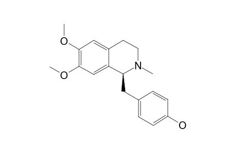 ARMEPAVINE