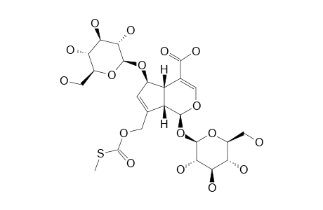 6-BETA-O-BETA-D-GLUCOPYRANOSYL-PAEDEROSIDIC-ACID