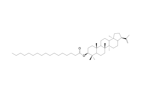 MORETENYL-MARGARATE