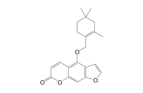 ARCHANGELIN