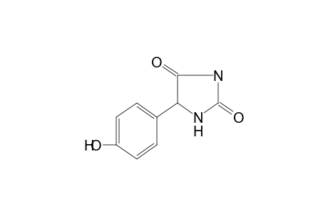 5-(p-hydroxyphenyl)hydantoin