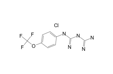 1-[4-(Trifluoromethoxy)phenyl]biguanide hydrochloride